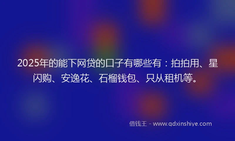 2025年的能下网贷的口子有哪些有：拍拍用、星闪购、安逸花、石榴钱包、只从租机等。