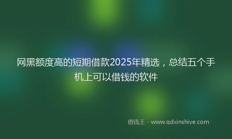 网黑额度高的短期借款2025年精选，总结五个手机上可以借钱的软件