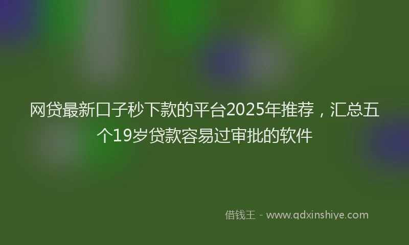网贷最新口子秒下款的平台2025年推荐，汇总五个19岁贷款容易过审批的软件