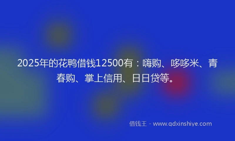 2025年的花鸭借钱12500有：嗨购、哆哆米、青春购、掌上信用、日日贷等。
