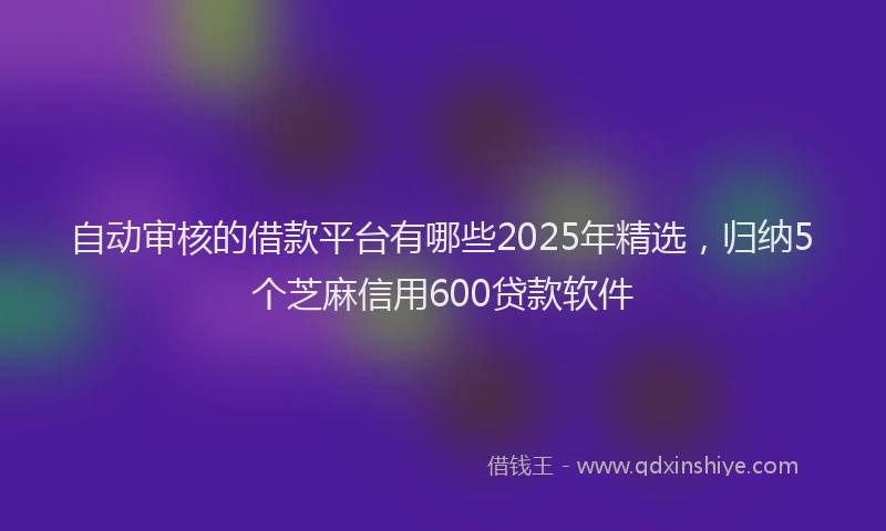 自动审核的借款平台有哪些2025年精选，归纳5个芝麻信用600贷款软件