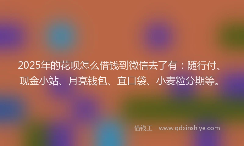 2025年的花呗怎么借钱到微信去了有：随行付、现金小站、月亮钱包、宜口袋、小麦粒分期等。