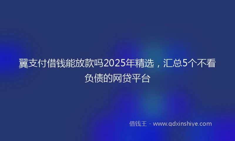 翼支付借钱能放款吗2025年精选，汇总5个不看负债的网贷平台