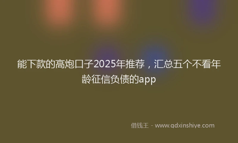 能下款的高炮口子2025年推荐，汇总五个不看年龄征信负债的app