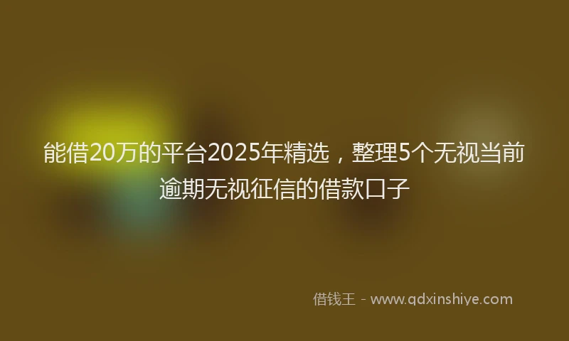 能借20万的平台2025年精选，整理5个无视当前逾期无视征信的借款口子