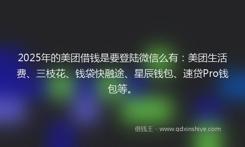 2025年的美团借钱是要登陆微信么有：美团生活费、三枝花、钱袋快融途、星辰钱包、速贷Pro钱包等。