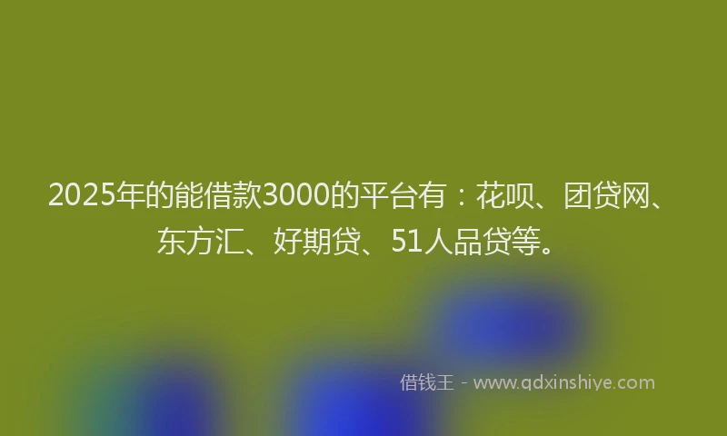 2025年的能借款3000的平台有：花呗、团贷网、东方汇、好期贷、51人品贷等。