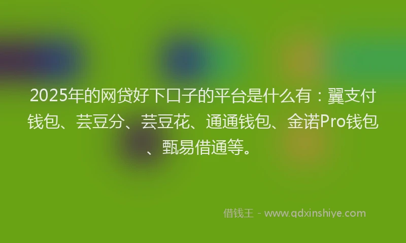 2025年的网贷好下口子的平台是什么有：翼支付钱包、芸豆分、芸豆花、通通钱包、金诺Pro钱包、甄易借通等。