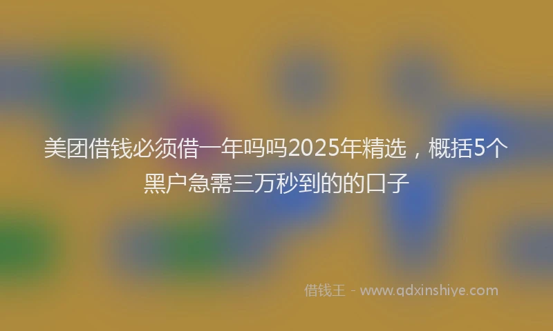 美团借钱必须借一年吗吗2025年精选，概括5个黑户急需三万秒到的的口子