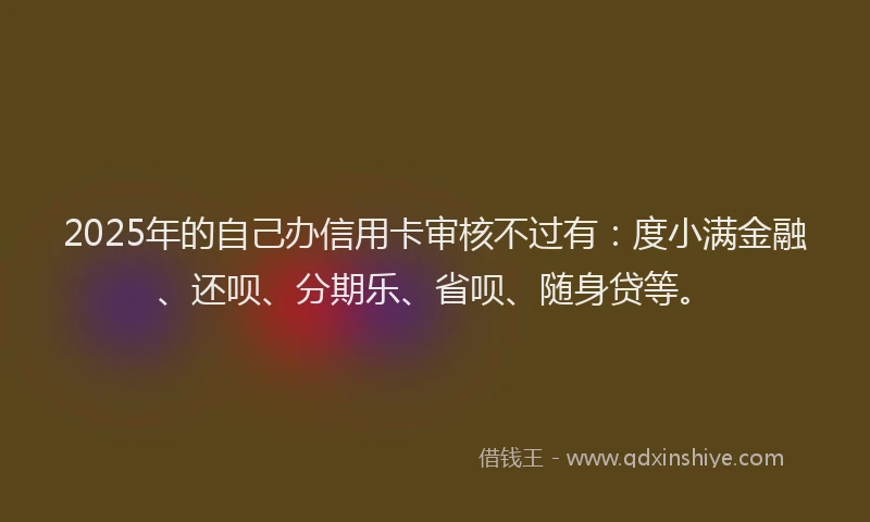 2025年的自己办信用卡审核不过有：度小满金融、还呗、分期乐、省呗、随身贷等。