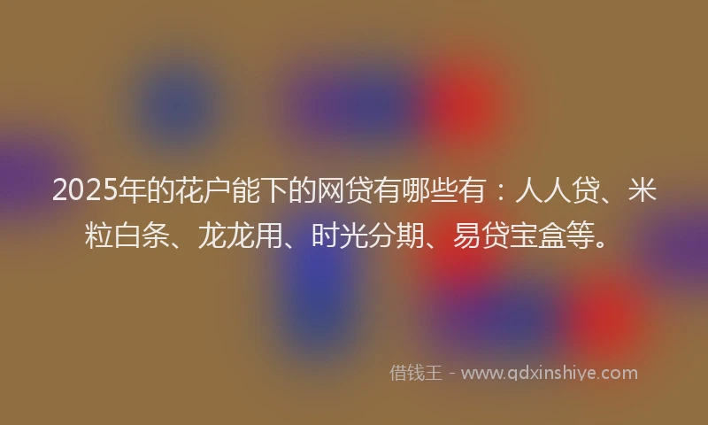 2025年的花户能下的网贷有哪些有：人人贷、米粒白条、龙龙用、时光分期、易贷宝盒等。