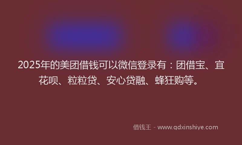 2025年的美团借钱可以微信登录有：团借宝、宜花呗、粒粒贷、安心贷融、蜂狂购等。