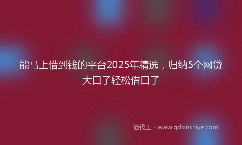 能马上借到钱的平台2025年精选，归纳5个网贷大口子轻松借口子