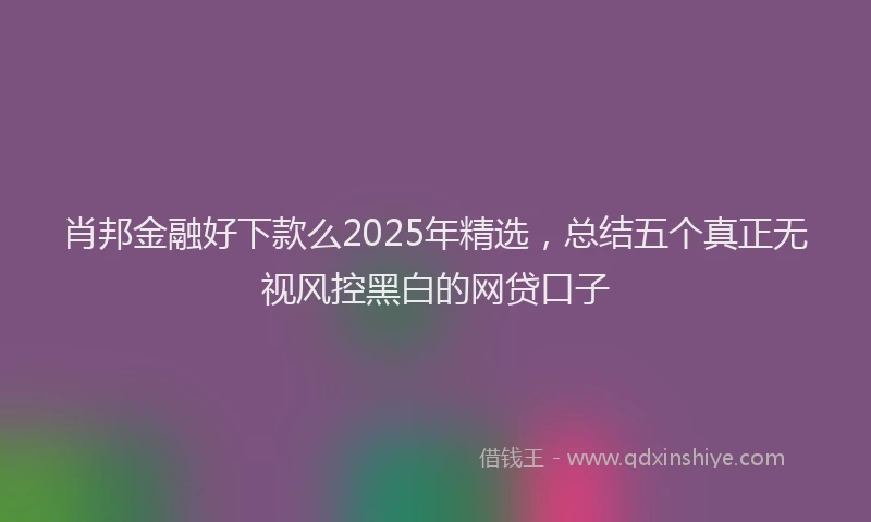 肖邦金融好下款么2025年精选，总结五个真正无视风控黑白的网贷口子