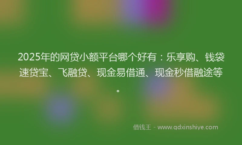 2025年的网贷小额平台哪个好有：乐享购、钱袋速贷宝、飞融贷、现金易借通、现金秒借融途等。