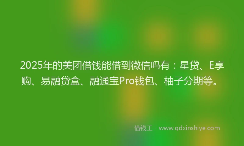 2025年的美团借钱能借到微信吗有：星贷、E享购、易融贷盒、融通宝Pro钱包、柚子分期等。