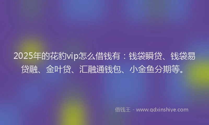 2025年的花豹vip怎么借钱有：钱袋瞬贷、钱袋易贷融、金叶贷、汇融通钱包、小金鱼分期等。