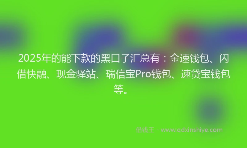 2025年的能下款的黑口子汇总有：金速钱包、闪借快融、现金驿站、瑞信宝Pro钱包、速贷宝钱包等。