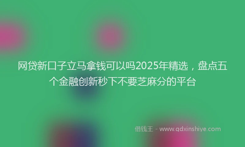 网贷新口子立马拿钱可以吗2025年精选，盘点五个金融创新秒下不要芝麻分的平台