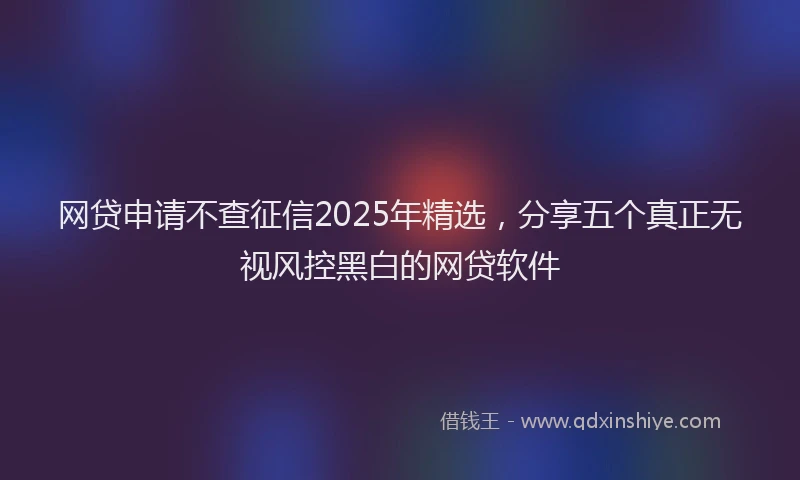 网贷申请不查征信2025年精选，分享五个真正无视风控黑白的网贷软件
