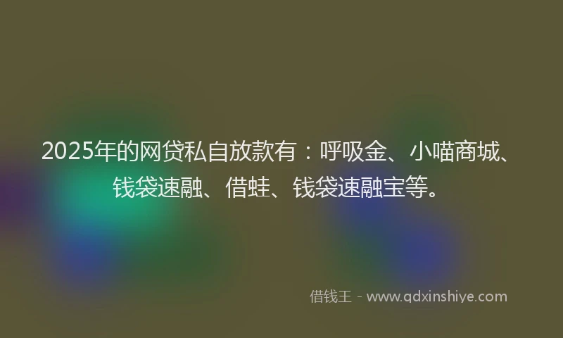 2025年的网贷私自放款有：呼吸金、小喵商城、钱袋速融、借蛙、钱袋速融宝等。