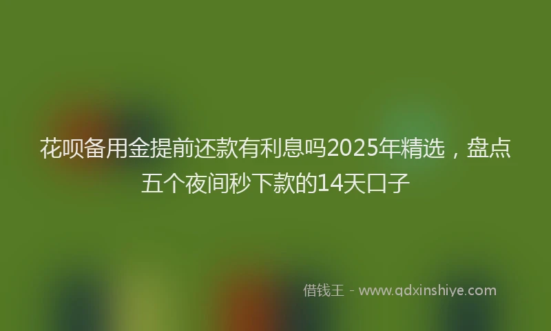 花呗备用金提前还款有利息吗2025年精选，盘点五个夜间秒下款的14天口子