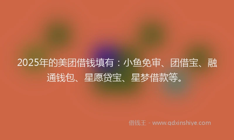 2025年的美团借钱填有：小鱼免审、团借宝、融通钱包、星愿贷宝、星梦借款等。