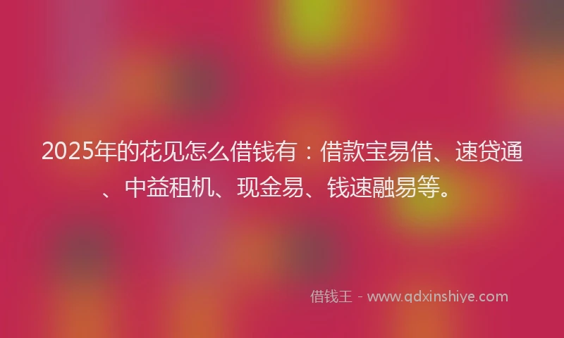 2025年的花见怎么借钱有：借款宝易借、速贷通、中益租机、现金易、钱速融易等。