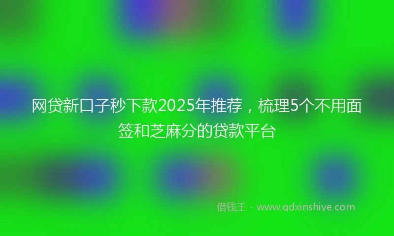 网贷新口子秒下款2025年推荐，梳理5个不用面签和芝麻分的贷款平台