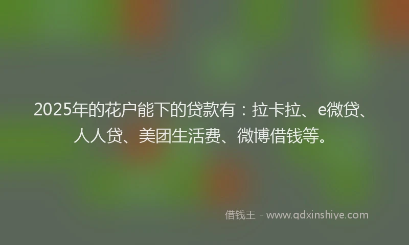 2025年的花户能下的贷款有：拉卡拉、e微贷、人人贷、美团生活费、微博借钱等。