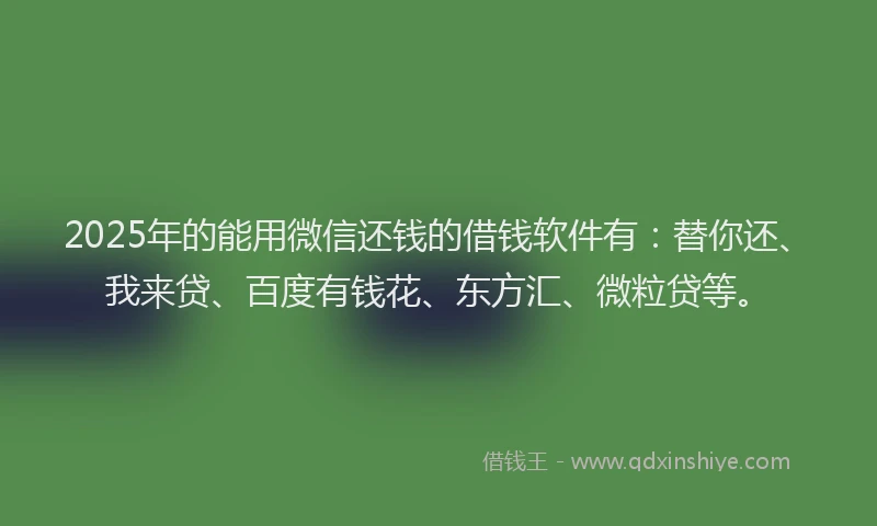 2025年的能用微信还钱的借钱软件有：替你还、我来贷、百度有钱花、东方汇、微粒贷等。