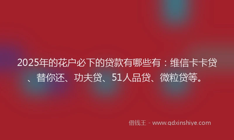 2025年的花户必下的贷款有哪些有：维信卡卡贷、替你还、功夫贷、51人品贷、微粒贷等。