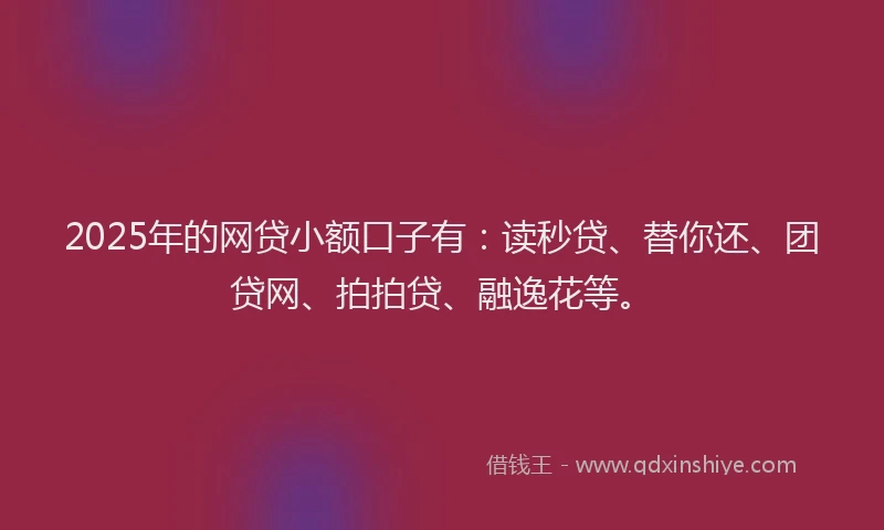 2025年的网贷小额口子有：读秒贷、替你还、团贷网、拍拍贷、融逸花等。