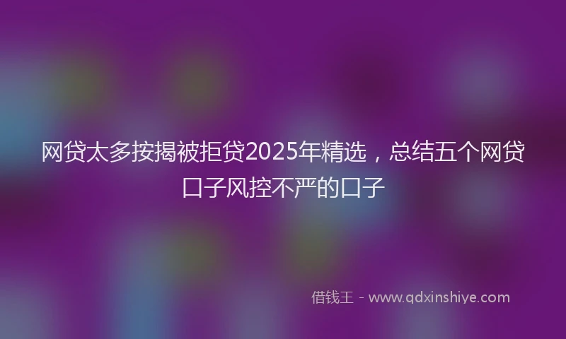 网贷太多按揭被拒贷2025年精选，总结五个网贷口子风控不严的口子
