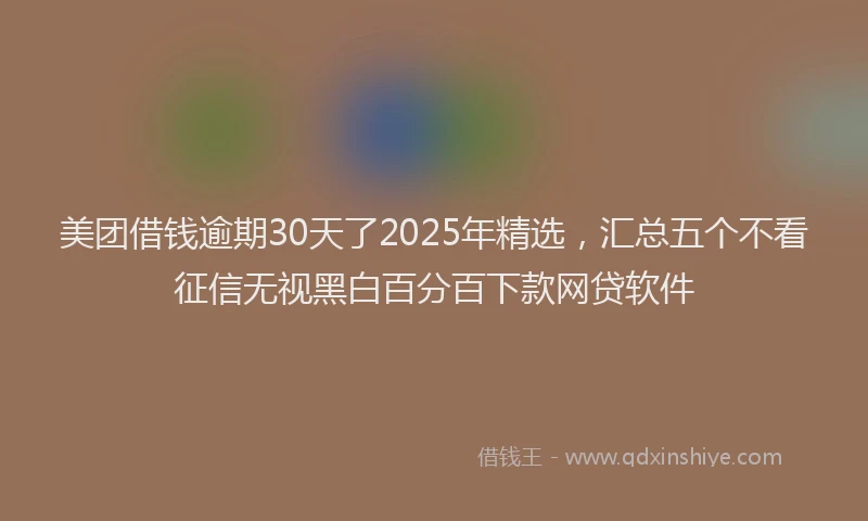 美团借钱逾期30天了2025年精选，汇总五个不看征信无视黑白百分百下款网贷软件