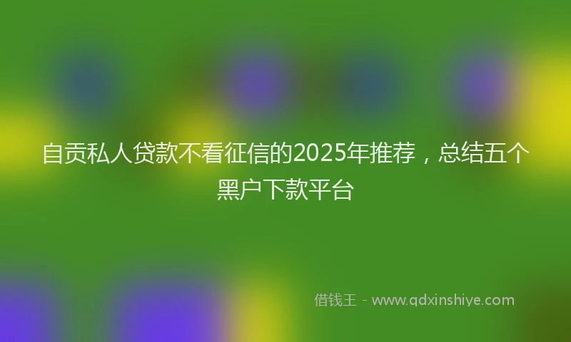 自贡私人贷款不看征信的2025年推荐，总结五个黑户下款平台