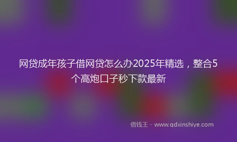 网贷成年孩子借网贷怎么办2025年精选，整合5个高炮口子秒下款最新