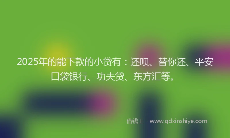 2025年的能下款的小贷有：还呗、替你还、平安口袋银行、功夫贷、东方汇等。
