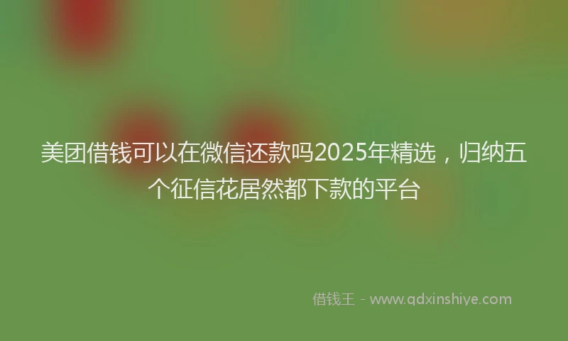 美团借钱可以在微信还款吗2025年精选，归纳五个征信花居然都下款的平台