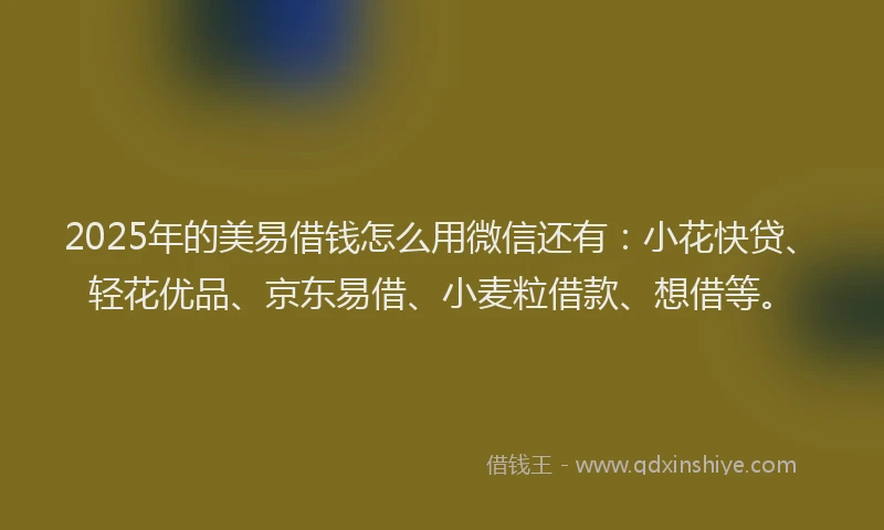 2025年的美易借钱怎么用微信还有：小花快贷、轻花优品、京东易借、小麦粒借款、想借等。