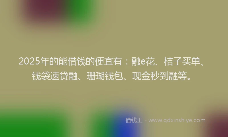 2025年的能借钱的便宜有：融e花、桔子买单、钱袋速贷融、珊瑚钱包、现金秒到融等。