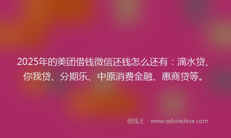 2025年的美团借钱微信还钱怎么还有：滴水贷、你我贷、分期乐、中原消费金融、惠商贷等。