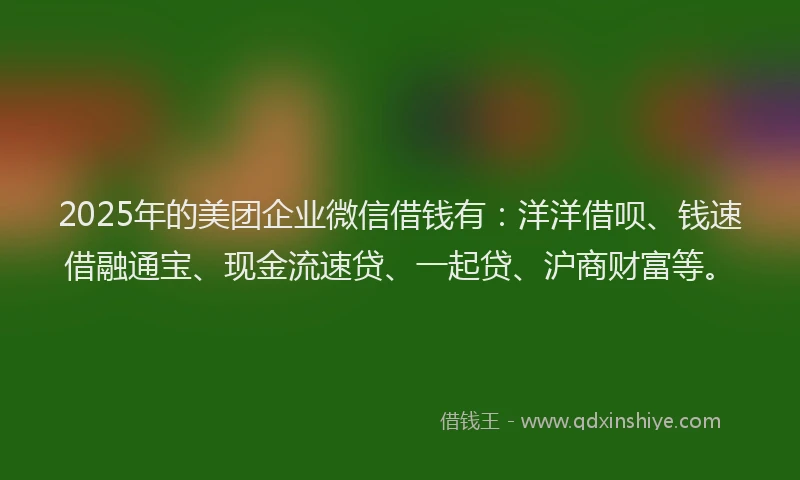 2025年的美团企业微信借钱有：洋洋借呗、钱速借融通宝、现金流速贷、一起贷、沪商财富等。