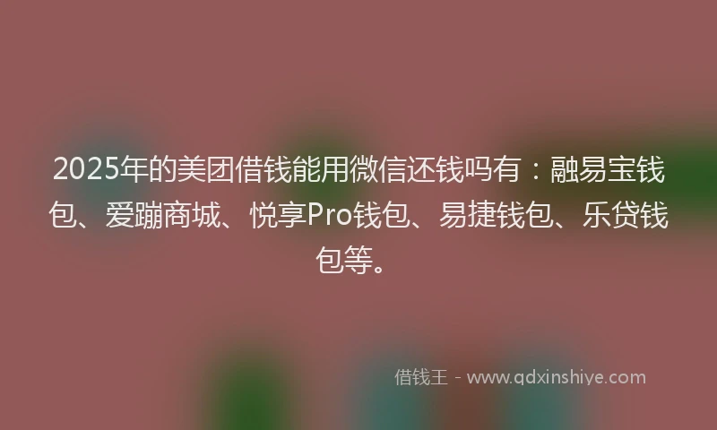 2025年的美团借钱能用微信还钱吗有：融易宝钱包、爱蹦商城、悦享Pro钱包、易捷钱包、乐贷钱包等。