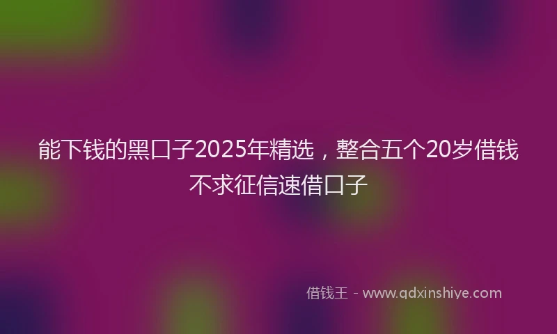 能下钱的黑口子2025年精选，整合五个20岁借钱不求征信速借口子