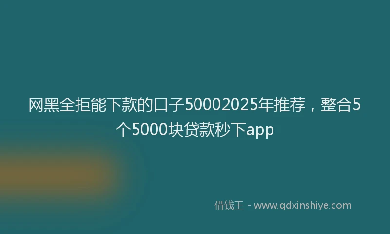 网黑全拒能下款的口子50002025年推荐，整合5个5000块贷款秒下app