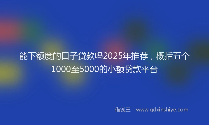 能下额度的口子贷款吗2025年推荐，概括五个1000至5000的小额贷款平台