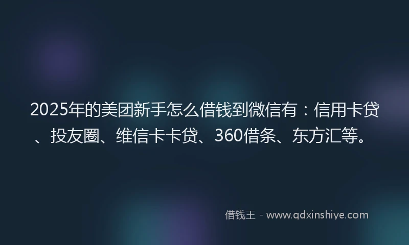 2025年的美团新手怎么借钱到微信有：信用卡贷、投友圈、维信卡卡贷、360借条、东方汇等。