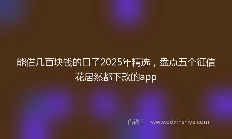 能借几百块钱的口子2025年精选，盘点五个征信花居然都下款的app