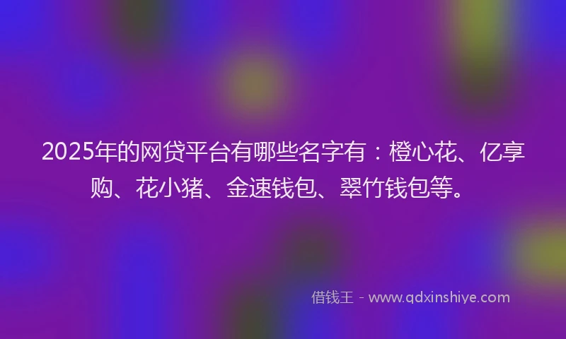 2025年的网贷平台有哪些名字有：橙心花、亿享购、花小猪、金速钱包、翠竹钱包等。